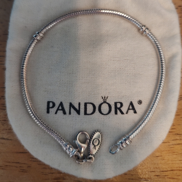 Pandora Classic Lobster Clasp Silver Starter Charm Bracelet - Picture 1 of 2